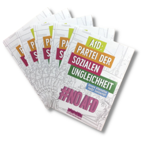 Flyer M "AfD: Partei der sozialen Ungleichheit"
